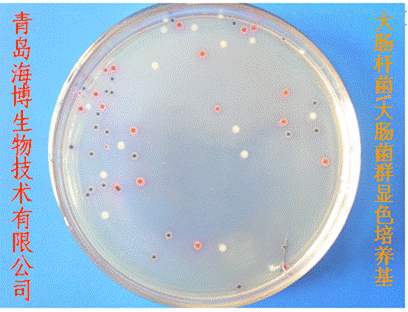 大肠杆菌/大肠菌群显色培养基